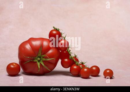 Beef tomato and cherry vine tomatoes with pink background Stock Photo