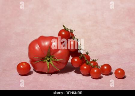 Beef tomato and cherry vine tomatoes with pink background Stock Photo