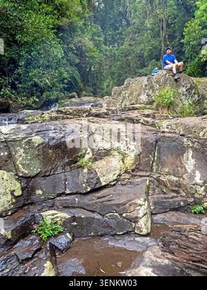 Hiker at Picnic Rock on the Toolona Creek Circuit, Lamington National Park Stock Photo