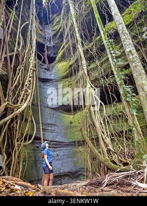 Hiker on the Ships Stern Circuit, Lamington National Park Stock Photo