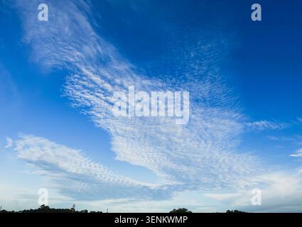 A wide, low-angle shot of a vibrant blue sky featuring a unique altocumulus cloud formation shaped like a giant bird with spreading wings. Stock Photo