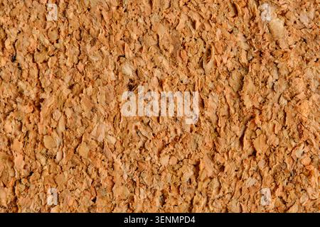 Close up high detailed macro view natural cork board texture material with rough uneven surface Stock Photo