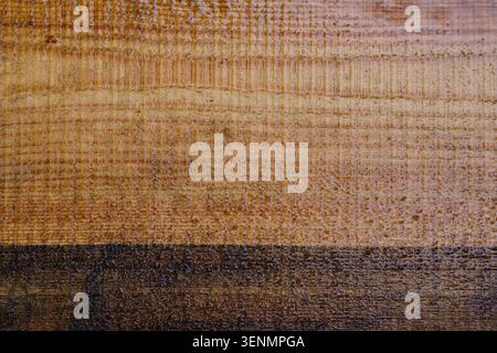 Full frame macro texture wet dark and light brown wooden surface with fine horizontal lines Stock Photo