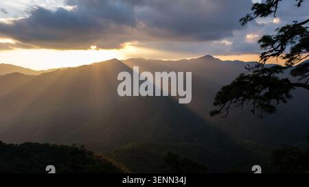 A dramatic sunset landscape featuring sunbeams breaking through clouds above vast forested mountain ranges with pine silhouettes in a tropical wildern Stock Photo