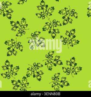 pattern cerefolium chervil hand drawn. anthriscus plant, illustration food, fennel parsly cerefolium chervil vector sketch illustration Stock Vector