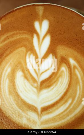 Macro top view of beautiful rosetta latte art with smooth velvety microfoam texture Stock Photo