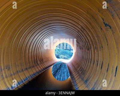 Looking out from inside a yellow corrugated plastic pipe, sunlight shines on trees and reflects in a small pool of water. The forest is clear and invi Stock Photo
