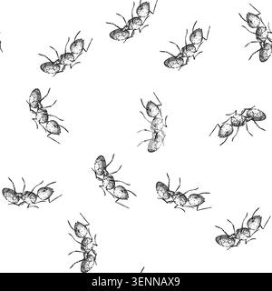 seamless pattern soldier ant hand drawn. nest foraging, insect antennae, mandibles thorax soldier ant black sketch illustration Stock Vector
