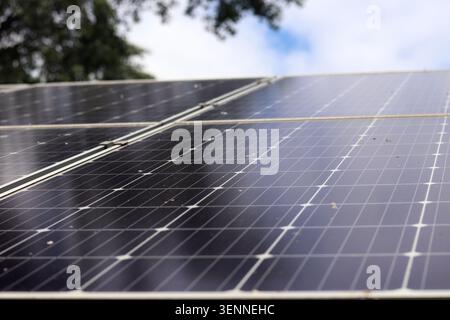 Solar panel surface with selective focus. Renewable energy concept. Modern solar panels for generating clean energy. Close-up view of photovoltaic mod Stock Photo
