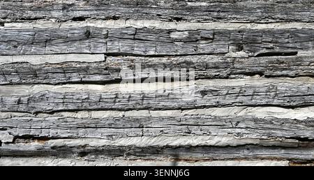Horizontal close up of a weathered log cabin wall with flat cracked splintered logs, strong wood grain, white porous chinking Stock Photo