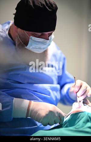 Bearded Surgeon Performing Oral Surgery In Operating Room Wearing Mask And Blue Scrubs Stock Photo