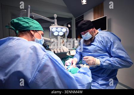 Dental Surgery Team Performing Oral Procedure On Patient In Modern Dental Clinic With Surgical Lights Stock Photo