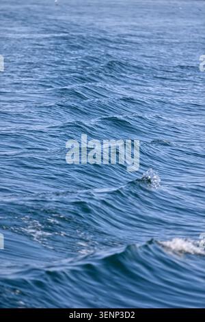 Gentle blue waves, current on water's surface or wake from boat  Abstract background of sea / ocean Waves Stock Photo