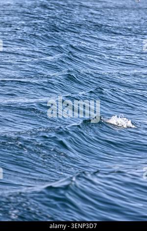 Gentle blue waves, current on water's surface or wake from boat  Abstract background of sea / ocean Waves Stock Photo