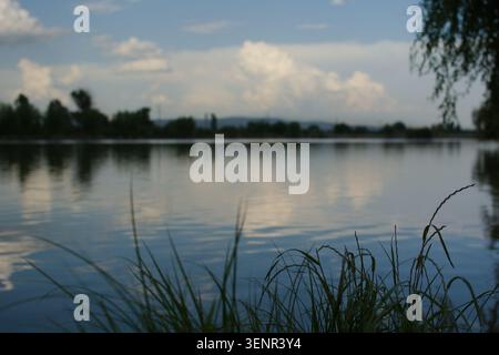 Serene lakeside view with tall grass in the foreground and reflected clouds on calm water under a blue sky creating a peaceful natural scenery. Stock Photo