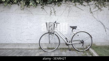 Minimalist profile view of a classic silver city bicycle with a front basket parked against a textured white concrete wall topped with creeping ivy Stock Photo