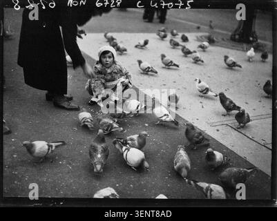 Pigeons gather on a Paris pavement in a 1933 press photograph issued by Agence Mondial. The monochrome news image records birds occupying a city walkway, presenting an everyday urban observation circulated through the contemporary press. Stock Photo