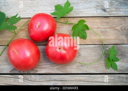 Three plucked red ripe tomatoes lie on rough wooden planks. Juicy vegetables, harvesting, agriculture. Close-up, selective focus. Copy space. Top view Stock Photo