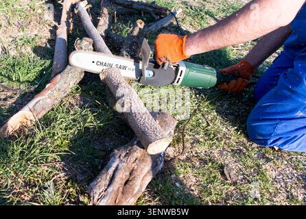 Man in blue overalls and orange gloves cuts firewood with a chainsaw. Equipment for cutting firewood at home. Stock Photo