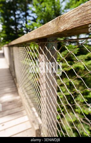 Wooden railing on forest walkway with blurred background Stock Photo