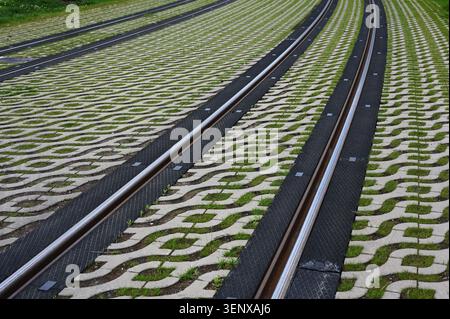Photograph of modern tram or light rail tracks embedded in a grass-paver surface, showcasing sustainable urban transport infrastructure. The repeating Stock Photo