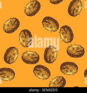 pattern horned kiwano hand drawn. food nature, green orange, cucumber yellow horned kiwano vector sketch illustration Stock Vector