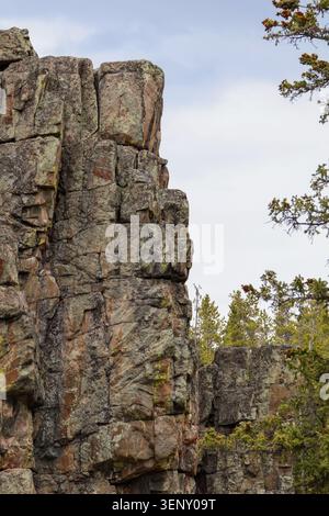 lose-up vertical view of a rugged, highly textured rock cliff face with deep fissures and blocky formations, framed by evergreen pine trees against an Stock Photo