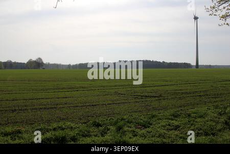 Expansive green field near Munster, in Lower Saxony, Germany, with a single wind turbine prominently rising against the sky Stock Photo