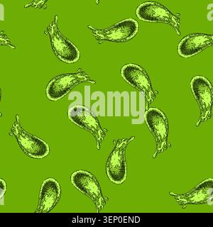 pattern wasabi green food hand drawn. sushi japan, ingredient fresh, asian horseradish, gourmet raw, condiment traditional wasabi green food vector sk Stock Vector