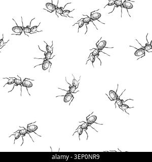 seamless pattern colony ant hand drawn. queen worker, soldier nest, foraging insect colony ant black sketch illustration Stock Vector