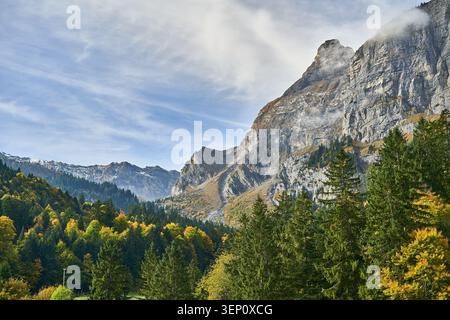 Autumn mountain valley with dramatic rocky cliffs, mixed evergreen and deciduous forest, soft mist and blue sky Stock Photo