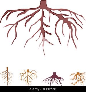 Diverse illustrations of branching underground plant structures providing stability and nourishment, representing connection, growth, and natural supp Stock Vector