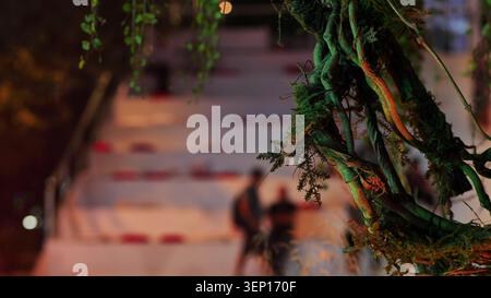 Growing roots and moss creating abstract pattern with blurred background figures Stock Photo