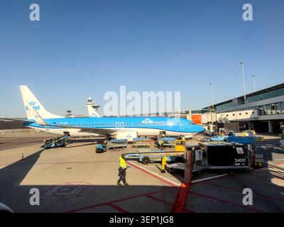 KLM Royal Dutch Airlines Boeing 737 parked at Amsterdam Airport Schiphol gate with ground handling services & equipment on the tarmac Stock Photo