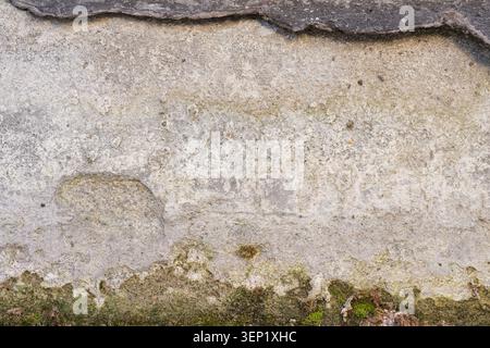Macro horizontal closeup of damaged concrete wall with green moss and cracked top layer on grey copy space background template Stock Photo