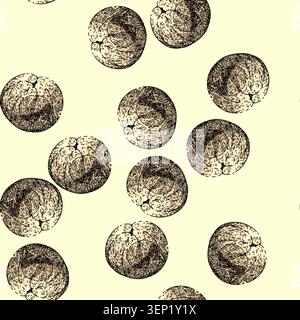pattern healthy longan fruit hand drawn. organic ripe, fresh nature, plant tropical healthy longan fruit vector sketch illustration Stock Vector