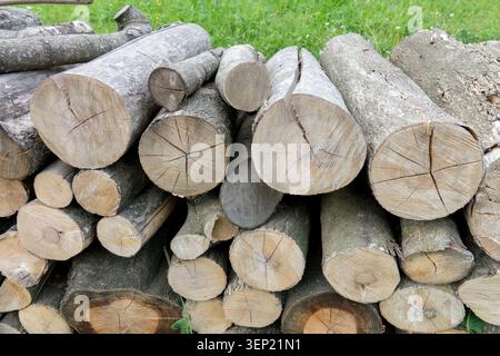 Stacked firewood logs of hardwood Stock Photo