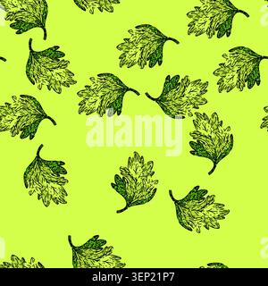 pattern vector chervil hand drawn. coriander cerefolium, anthriscus plant, illustration food vector chervil vector sketch illustration Stock Vector