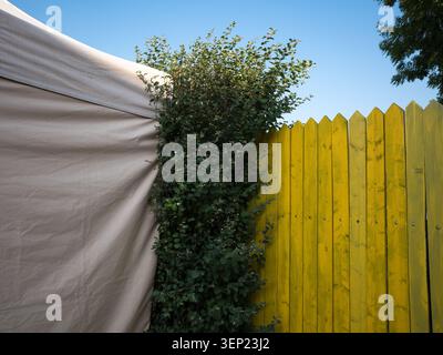 Green bush between a beige fabric tent and a yellow wooden fence against a blue sky Stock Photo