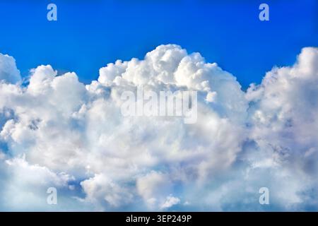 White and pale gray cumulus clouds fill a bright blue sky Stock Photo