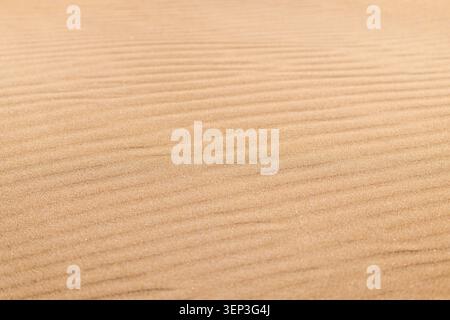 Sand ripple texture on coastal dune in Ebro Delta Natural Park, Deltebre, Spain Stock Photo