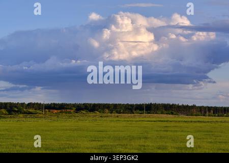 Massive rain clouds looming over green agricultural field and distant pine forest line at dusk Stock Photo