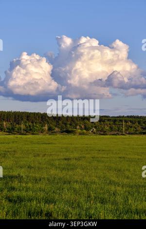 Fluffy white cumulus clouds floating in clear blue sky above vibrant green field and forest Stock Photo