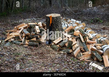 Axe leaning against a chopping block surrounded by split firewood in a forest clearing Stock Photo