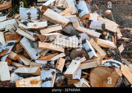 Pile of split birch firewood outdoors, freshly cut and ready for storage or winter heating. Renewable wood fuel and sustainable energy source Stock Photo