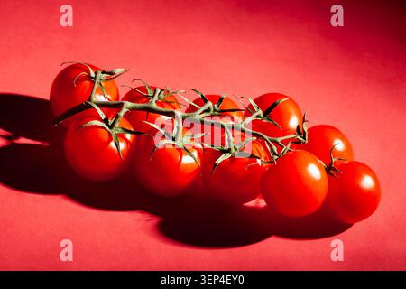 cherry tomato branch on red background Stock Photo