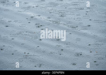 Background photo of raindrops falling on the surface of water and creating circular waves. High quality photo Stock Photo