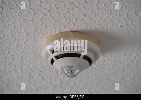 A smoke detector is installed on the ceiling in a residential area. It is positioned near a light fixture and shows some wear on its surface. Stock Photo