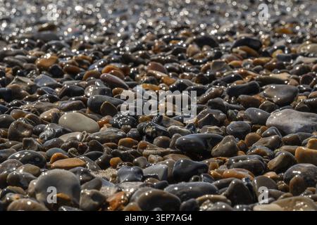 Wet pebbles, Houvig Beach, North Sea, Denmark Stock Photo