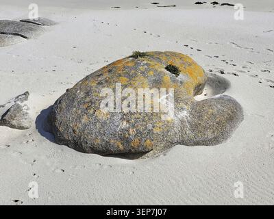 This detailed photo of Plage de Roc'h ar Gonc shows a smoothly cut granite block in the middle of a wide, bright sandy area. The grey stone is covered Stock Photo